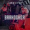 Brenn (feat. CAP) - VIPER lyrics