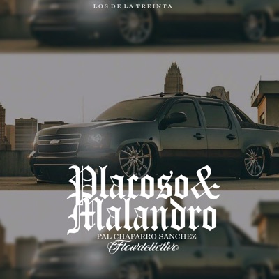 Placoso y Malandro - Single