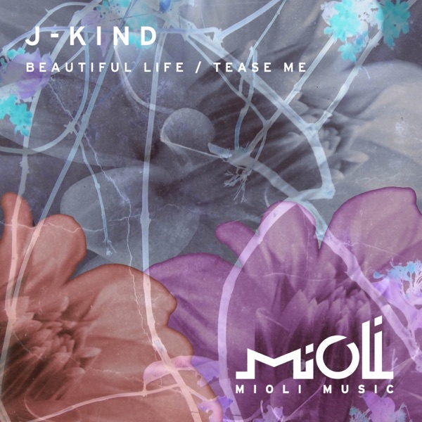 Beautiful Life / Tease Me - Single