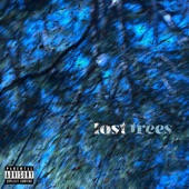 Cole Sipe - Lost Trees