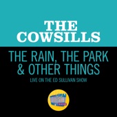 The Rain, The Park & Other Things (Live On The Ed Sullivan Show, October 29, 1967) artwork