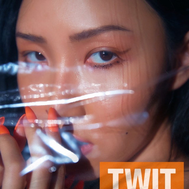 TWIT - Single Album Cover