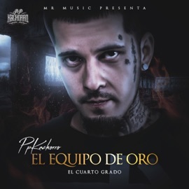 Llena de Billetes (feat. beejay & K Ranza) PpKachorro