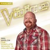 The Complete Season 13 Collection (The Voice Performance) artwork
