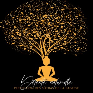 Détente naturelle: Perfection des Sûtras de la sagesse, Gourou racine, Esprit racine, Terre de Dakini pure, Les partisans des choses