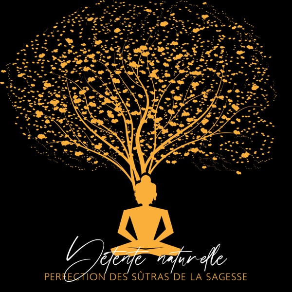 Détente naturelle: Perfection des Sûtras de la sagesse, Gourou racine, Esprit racine, Terre de Dakini pure, Les partisans des choses