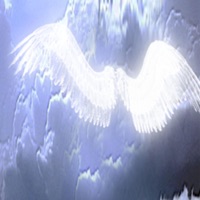 Ghost In the Shell - VEXD