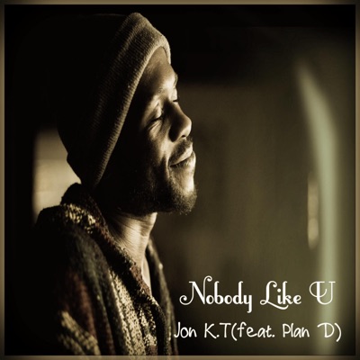 Nobody Like U (feat. Plan D) - Single
