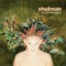 Spaced (Shulman Remix) - Entheogenic lyrics