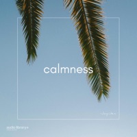 Calmness - Single - Jayjen