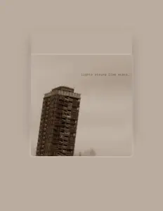 聆聽 Lights Strung Like Stars、觀看音樂影片、閱讀小傳、查看巡演日期等！
