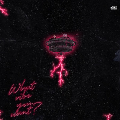 What Vibe You Want? - Single