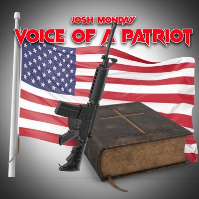 Voice of a Patriot - Single