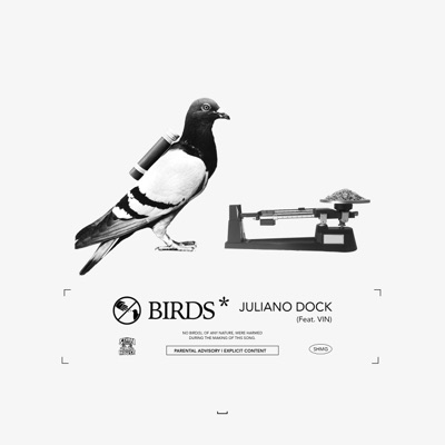 Birds (feat. UVT Vin) - Single