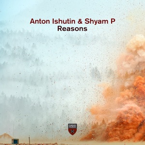 Reasons - Single