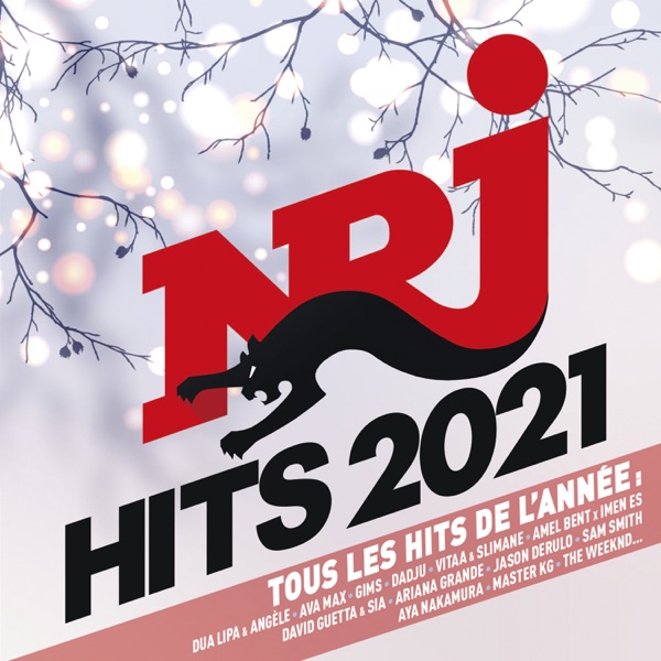 NRJ Hits 2021 - Multi-interprètes