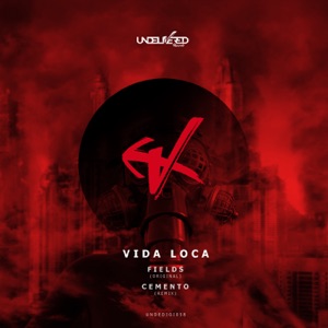 Vida Loca - Single
