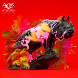 Going Mad (Remixes) [feat. CLYPSO & Raven Felix] - Single