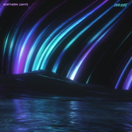 Northern Lights Dead Robot