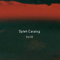 Spleh Catalog, Vol. 3 - SeeZus Beats