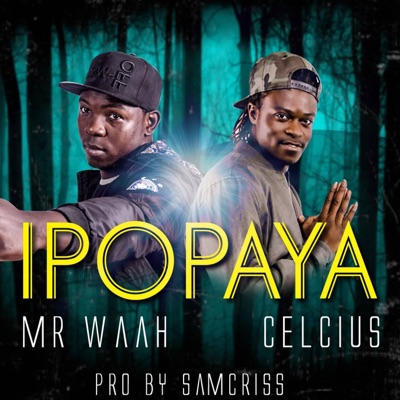 Ipopaya - Single