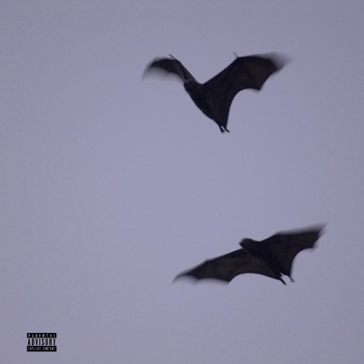 Silence (feat. Nása) - Single