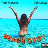 Beach Orgy (feat. 905turnup) - Single - Post Mahone