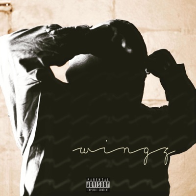 Wingz (Audio Abstract) - EP