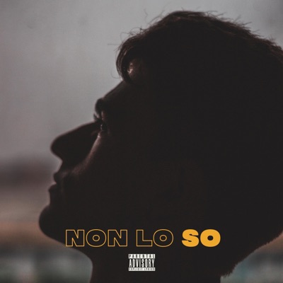 Non lo so - Single