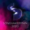 Söngvakeppnin 2020, 2020