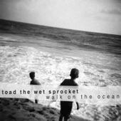 Walk On the Ocean (Single Version) artwork