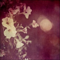 Clear - Single - LunchBreakJake