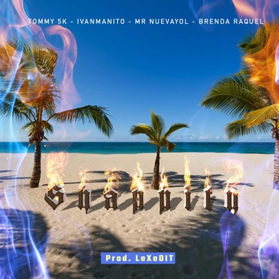 Shappity (feat. LeXedit, Ivanmanito, Mrnuevayol & Brenda Raquel) - Single