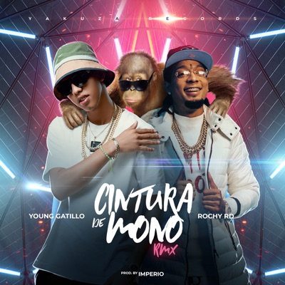 Cintura de Mono (Remix) [feat. Rochy RD] - Single