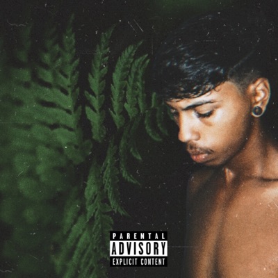 Estações - Single