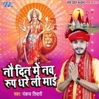 Navdin Me Nav Roop Dhare Li Mai - Single - Pankaj Tiwari