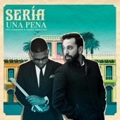 Sería Una Pena artwork