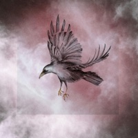 Itachi - Single - Fids