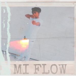 Mi Flow