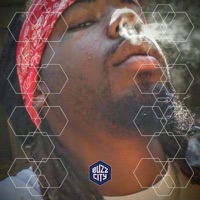 Freestyle (feat. Puba) - Single - Mula Axe