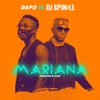 Mariana (feat. DJ Spinall) - Single