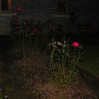 Without U - Single - ZWALL