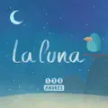SENOR AMOR