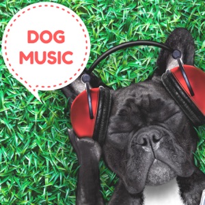 Dog Music – Relaxing Piano Pet Therapy with Soothing Nature Sounds Music