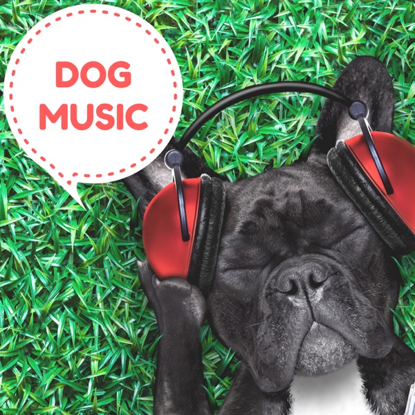 Dog Music – Relaxing Piano Pet Therapy with Soothing Nature Sounds Music