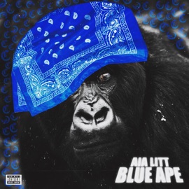 Get Litty (feat. AIA SHOTS) AIA Litt