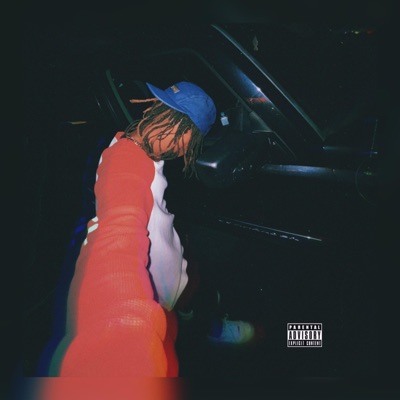 Animal Planet/ Money - Single