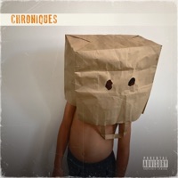 Chroniques (feat. NM Scratcherz) - Single - La Vilerie