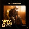 Voy a Mi 2 (Freestyle) - Single