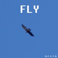 Fly - Single - RO-B. Z.